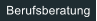 Berufsberatung