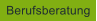 Berufsberatung